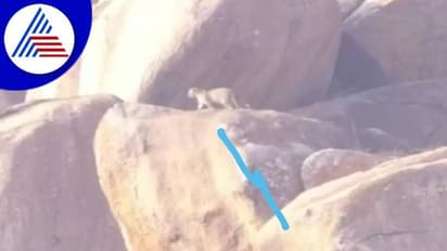 ಬಳ್ಳಾರಿ: ಚಿರತೆ, ಕರಡಿ ಕಾಟಕ್ಕೆ ಹೈರಾಣಾದ ಜನತೆ..!