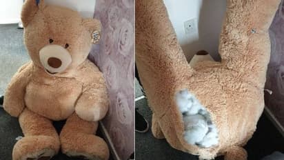 പൊലീസിനെ കബളിപ്പിക്കാൻ 18 -കാരൻ വലിയൊരു പാവയ്ക്കുള്ളിലൊളിച്ചു, കയ്യോടെ പൊക്കി