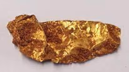 அகழாய்வில் தங்கம் கண்டெடுப்பு.. ஆதிச்சநல்லூரை தொடர்ந்து சிவகளையில் தங்கம் கண்டெடுப்பு