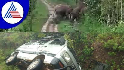 ಕಾಡಾನೆಗಳ ಪುಂಡಾಟ: ಕಾರಿನಲ್ಲಿದ್ದವರು ಪಾರು!