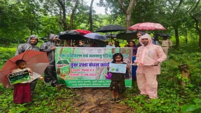 झारखंड में अनोखे तरह से मन रहा रक्षाबंधन:पेड़ो पर तिलक कर राखी बांध रही महिलाएं, 2 दिन तक चलेगा ट्री कार्यक्रम