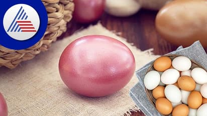 Trending News : 50 ಸಾವಿರಕ್ಕೆ ಮಾರಾಟವಾಗ್ತಿರೋ ಈ ಮೊಟ್ಟೆ ವಿಶೇಷವೇನು ಗೊತ್ತಾ?