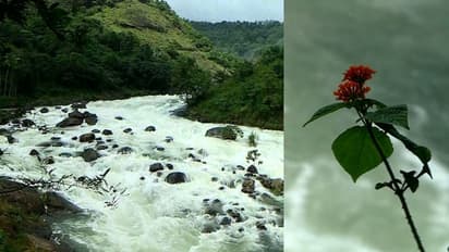 ഇടുക്കിയിൽ ആശ്വാസം; വിനോദസഞ്ചാരത്തിനുള്ള വിലക്ക് നീക്കി, ഖനന പ്രവർത്തനങ്ങൾ തുടരാം