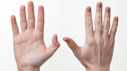 ज्यादा स्मार्ट कौन.. राइटी या फिर लेफ्टी! जानिए क्या कहती है रिसर्च 