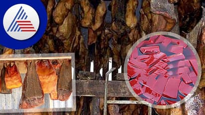 Food Habits in World: ಹಸುವಿನ ರಕ್ತ, ಕೊಳೆತ ಶಾರ್ಕ್ ಮಾಂಸ… ಅಬ್ಬಬ್ಬಾ, ಏನೆಲ್ಲ ತಿಂತಾರೆ ಗೊತ್ತಾ