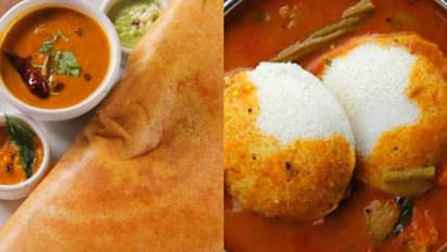 ഇഡ്ഡ്ലിയും ദോശയും ഇനി സ്വപ്നങ്ങളിൽ മാത്രം; ഉഴുന്ന് പരിപ്പിന്റെ വില കത്തിക്കയറുന്നു