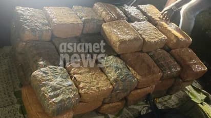 വൻ കഞ്ചാവ് വേട്ട; വഴിക്കടവ് ചെക്പോസ്റ്റിൽ പിടികൂടിയത് 150 കിലോഗ്രാം, 5 പേർ പിടിയിൽ