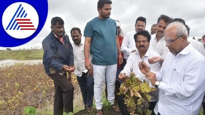 ಧಾರವಾಡ ಜಿಲ್ಲೆಯಲ್ಲಿ ಮಳೆಯಿಂದ ಬೆಳೆ ಹಾನಿ: ಸಚಿವ ಹಾಲಪ್ಪ ಭೇಟಿ