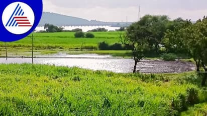 ಡ್ಯಾಂಗಳಿಂದ ಭಾರೀ ನೀರು ಬಿಡುಗಡೆ: ಉತ್ತರ ಕರ್ನಾಟಕದಲ್ಲಿ ಇನ್ನೂ ಪ್ರವಾಹ ಭೀತಿ