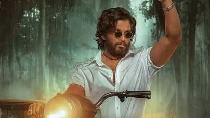 Allu Arjun: అల్లు అర్జున్ 'పుష్ప' గుట్టు రట్టు చేసిన అమితాబ్ బచ్చన్.. అసలు మ్యాటర్ లీక్ 