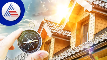 Vastu tips: ಈ 6 ವಸ್ತುಗಳನ್ನು ಮನೆಗೆ ತನ್ನಿ.. ಮತ್ತೆಂದೂ ಹಣದ ಸಮಸ್ಯೆ ಇರೋಲ್ಲ!