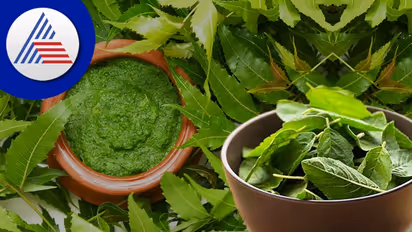 Health Benefits: வேப்ப இலையை தினமும் இப்படி சாப்பிட்டு வந்தால்..சர்க்கரை நோய் குறையுமாம்..! எப்படி தெரியுமா..?