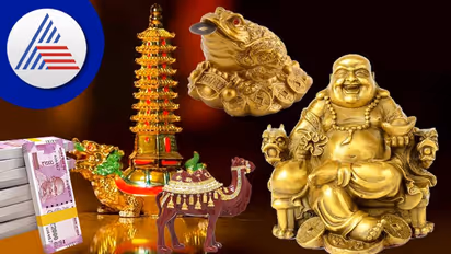 ಸಂಪತ್ತು ಮತ್ತು ಸಮೃದ್ಧಿಯನ್ನು ಹೆಚ್ಚಿಸಲು ಫೆಂಗ್ ಶೂಯಿ ಸಲಹೆಗಳು