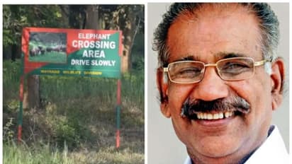 ബഫർ സോൺ; സുപ്രീം കോടതിയെ സമീപിക്കുമെന്ന കേന്ദ്ര വനം പരിസ്ഥിതി മന്ത്രിയുടെ പ്രസ്താവന സ്വാഗതാർഹം: എ കെ ശശീന്ദ്രൻ