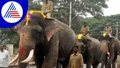 ಮೈಸೂರು ಅರಮನೆ ಆವರಣ ಪ್ರವೇಶಿಸಿದ ದಸರಾ ಗಜಪಡೆ
