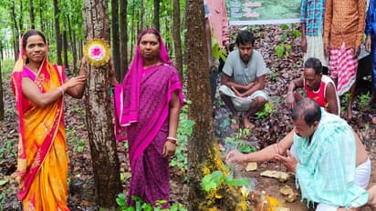झारखंड में रक्षाबंधन के दूसरे दिन पेड़ों पर क्यों बांधी जाती है राखी, पूजा के दौरान प्रशासन भी रहता है मौजूद