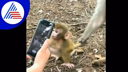 ನಿಮ್ಮ ಮಕ್ಕಳಿಗೂ ಸ್ಮಾರ್ಟ್‌ಫೋನ್ ಗೀಳಿದ್ಯಾ ಹಾಗಿದ್ರೆ ಈ ಸ್ಟೋರಿ ನೋಡಿ