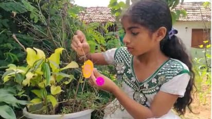 raksha bandhan: 75 చెట్లకు రాఖీకట్టిన చిన్నారి .. వీడియో వైరల్