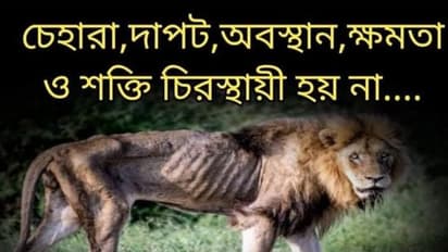 অনুব্রত মণ্ডল গ্রেফতার হতেই স্বমহিমায় প্রতিপক্ষ কাজল শেখ, রোগা সিংহের ছবি ঘিরে তুমুল বিতর্ক 