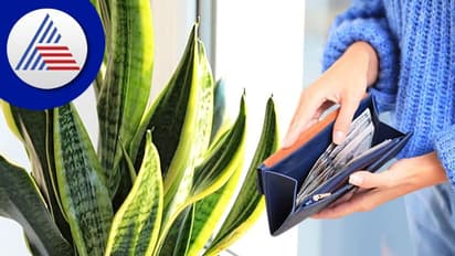 ಈ 4 ವಸ್ತುಗಳನ್ನು ಎರವಲು ಪಡೆದ್ರೆ ದುರದೃಷ್ಟ ಬೆನ್ನು ಹತ್ತುತ್ತೆ, ಹುಷಾರ್!