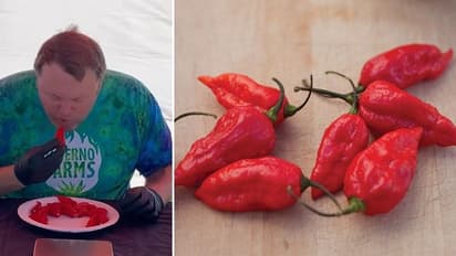 റെക്കോര്ഡ് സ്ഥാപിക്കാൻ വേണ്ടി ലോകത്തിലെ ഏറ്റവും എരിവേറിയ മുളക് കഴിക്കുന്നു; വീഡിയോ