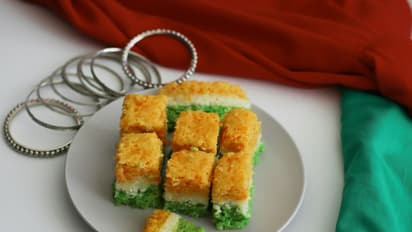 স্বাধীনতা দিবসে দেশপ্রেমের রঙে রাঙান, বাড়িতে তৈরি করুন বিশেষ তেরঙা ধোকলা