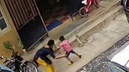 मां ने कैसे विशालकाय कोबरा से अपने बच्चे को बचाया.. देखिए दिल दहलाने वाला वीडियो