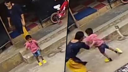 Woman rescues son from raging cobra; heart-stopping video goes viral