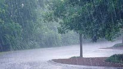 राजस्थान में भारी बारिश का अलर्ट: 15 जिलों में होगी जोरदार बरसात, जानें आपके यहां क्या है मानसून अपडेट