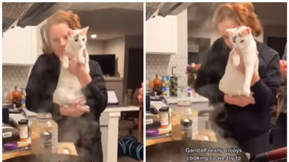 Viral Video : 'ഞാനും ഉണ്ടാക്കി നോക്കട്ടെ'; വീട്ടുടമ പാചകം ചെയ്യുന്നത് ആസ്വാദിക്കുന്ന പൂച്ച; വീഡിയോ കാണാം