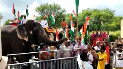 जयपुर के एलीफेंट विलेज में कुछ इस तरह से मना स्वतंत्रता दिवस, वीडियो देखकर आप भी कह उठेंगे वाह