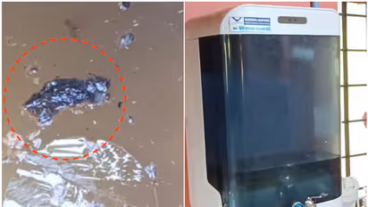 കുഞ്ഞുങ്ങള്ക്ക് എന്നും അസുഖം, വിട്ടുമാറാത്ത അവസ്ഥ; കാരണം കണ്ടെത്തി, രക്ഷിതാക്കള് ഭയപ്പാടില്