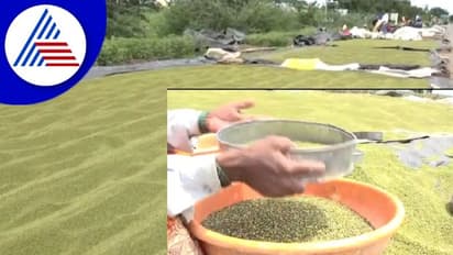 ಕೈಗೆ ಬಂದ ಹೆಸರು ಬೆಳೆ: ಖರೀದಿ ಕೇಂದ್ರ ಆರಂಭಿಸುವಂತೆ ರೈತರ ಒತ್ತಾಯ