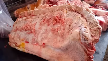 എങ്ങനെ വിശ്വസിച്ച് കഴിക്കും! പൂപ്പൽ ബാധിച്ച പന്നിയിറച്ചി വിറ്റിരുന്നത് ഒരു കൂസലുമില്ലാതെ, 25 കിലോയോളം പിടികൂടി