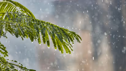 తగ్గుతున్న ఉష్ణోగ్రతలు.. దేశంలోని పలు ప్రాంతాల్లో వర్షాలు.. ఆరు రాష్ట్రాలకు ఐఎండీ 'ఆరెంజ్ అలర్ట్'