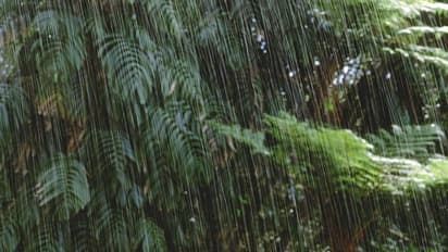 വരും മണിക്കൂറുകളിൽ ഒറ്റപ്പെട്ട കനത്ത മഴയ്ക്ക് സാധ്യതയെന്ന് മുന്നറിയിപ്പ്; ഒമ്പത് ജില്ലകളിൽ ജാഗ്രതാനിർദേശം