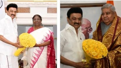 நீட் தேர்வு விலக்கு தொடர்பாக ஜனாதிபதியிடம் எந்த கோரிக்கையும் வைக்கவில்லை...! முதலமைச்சர் ஸ்டாலின்