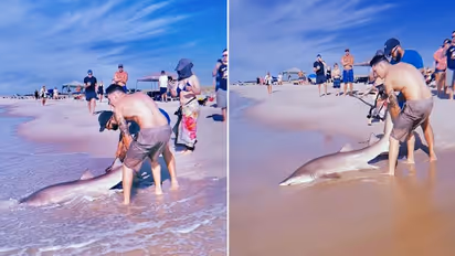 Watch: Man catches shark with bare hands at New York beach; netizens stunned