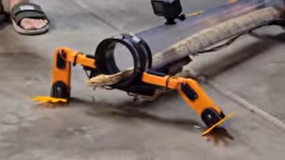 रेंगने वाले सांप को इंजीनियर ने दिया रोबोटिक पैर, छिपकली की तरह चला, वायरल हो गया वीडियो