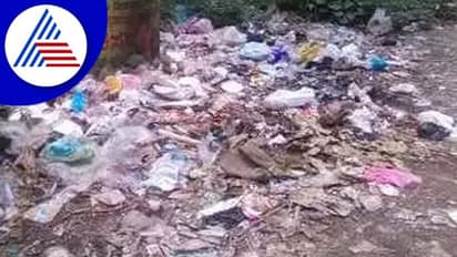 ಜಾಗೃತಿ ಮೂಡಿಸಿದರೂ ನಿಲ್ಲದ ರಸ್ತೆ ಬದಿ ಕಸದ ರಾಶಿ