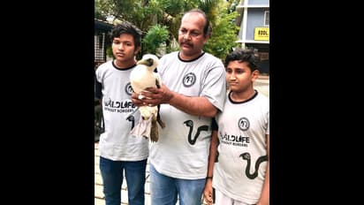 കടല്‍ കടന്നൊരു 'കടല്‍ സൂപ്രണ്ട്', അവശനിലയില്‍ തലശ്ശേരിയില്‍