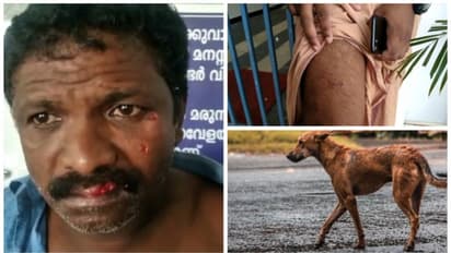 മുഖത്തും വയറിലും കാലിലും കടിയേറ്റു; സഹികെട്ട് ജനം, കോട്ടയത്ത് വീണ്ടും തെരുവുനായ ആക്രമണം; 7 പേ‍ര്‍ക്ക് പരിക്ക്
