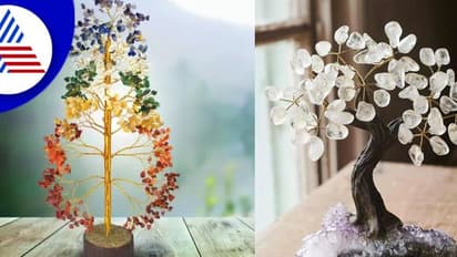 Feng Shui: ಮನೆ ಮತ್ತು ಕಚೇರಿಯಲ್ಲಿ ಇಂಥ ಹರಳಿನ ಮರವಿಟ್ರೆ ಹಣದ ಹರಿವು ಹೆಚ್ಚುತ್ತೆ..