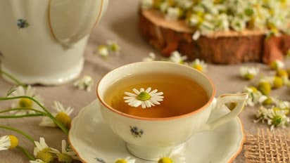 ಸೌಂದರ್ಯಕ್ಕೆ ಮತ್ತೊಂದು ಹೆಸರಾದ ಹೂವು ಔಷಧವೂ ಹೌದು! 