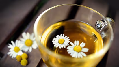 Here are 7 health benefits of having chamomile tea