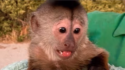 चिड़ियाघर से पुलिस के पास आई इमरजेंसी कॉल, पहुंचने पर जो सामने आया वह चौंकाने वाला था 