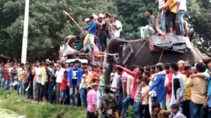 140 साल बाद भी बिना दुल्हन के ही वापस लौटी बारात, जानिए क्या है जौनपुर का कजरी मेला