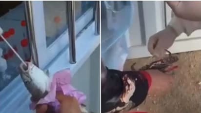 ಬರೀ ಮನುಷ್ಯರಲ್ಲ, ಮೀನು - ಏಡಿಗೂ ಚೀನಾದಲ್ಲಿ ಕೋವಿಡ್ ಟೆಸ್ಟ್ ಕಡ್ಡಾಯ!