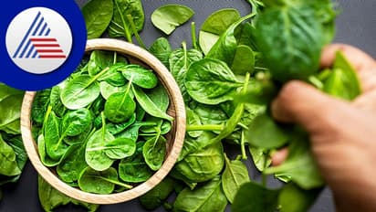 எலும்புகளின் ஆரோக்கியத்தை உறுதிப்படுத்தும் 5 உணவுப் பழக்கங்கள்..!!