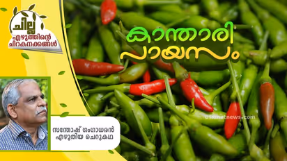 Malayalam Short Story : കാന്താരിപായസം, സന്തോഷ് ഗംഗാധരന് എഴുതിയ ചെറുകഥ